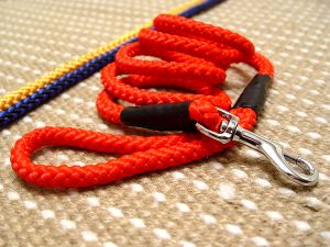 Cord nylon dog leash for dog training or for dog owners